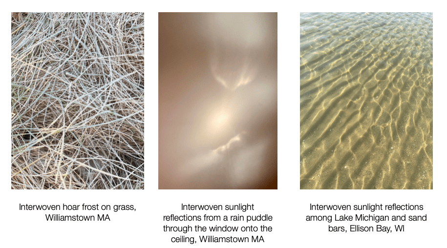 Visual Inspirations from Natural Patterns and&nbsp;Forces